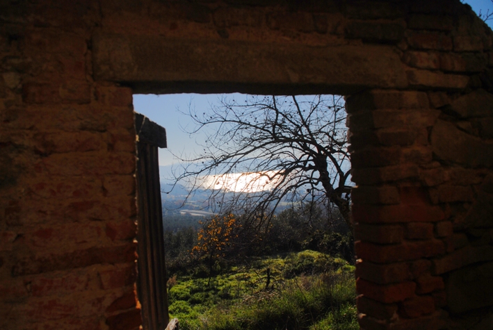 Clicca qui per vedere l'immagine in dettaglio